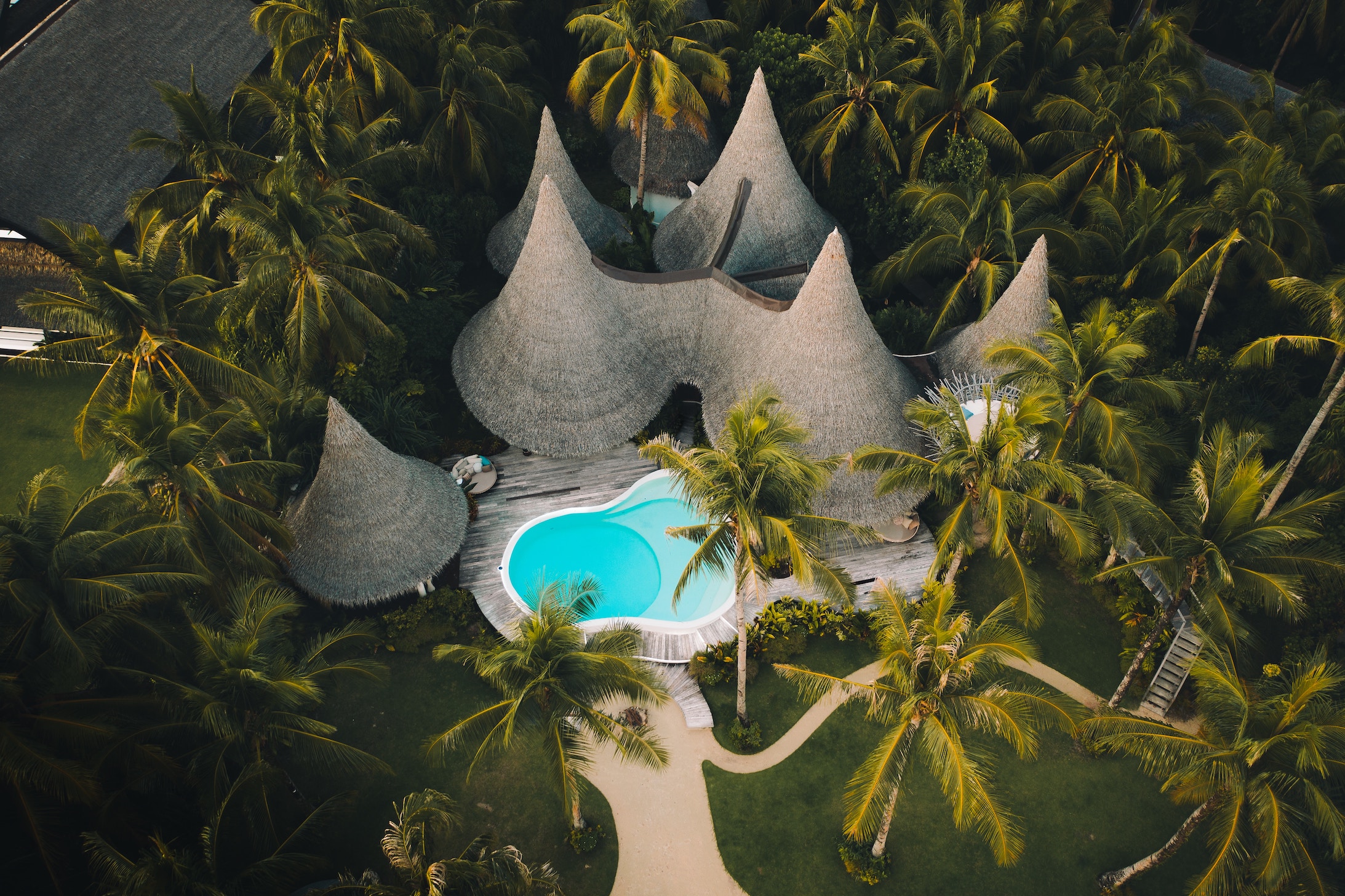 Thatched resort villas and a swimming pool surrounded by tropical palms